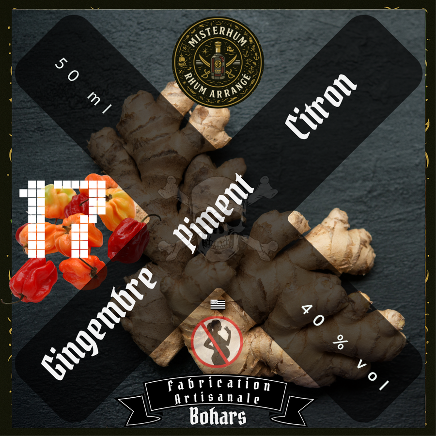 Précommande Calendrier de l'Avent 2025