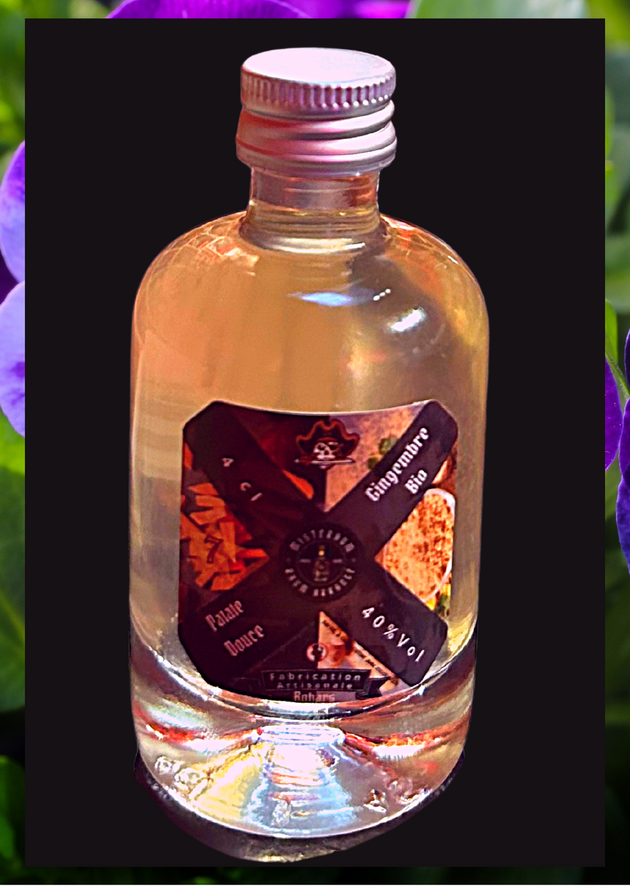 Calendrier de l'Avent 2023