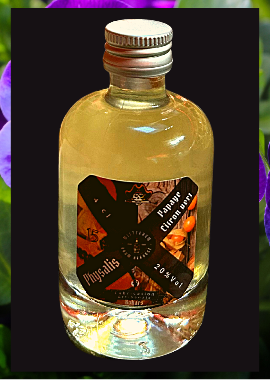 Calendrier de l'Avent 2023