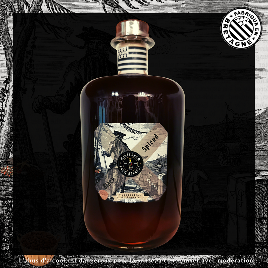 Misterhum Rhum Black Spiced Filtré 45 % Vol 70 cl
