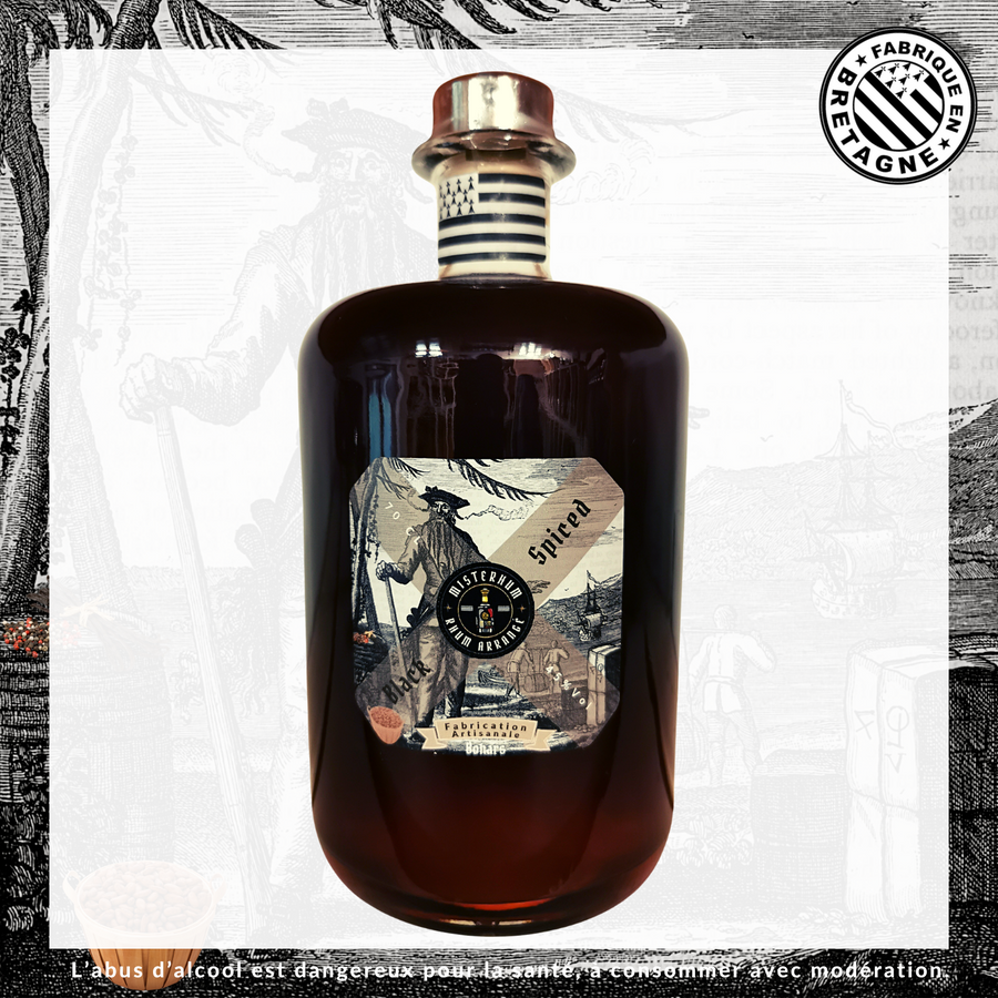 Misterhum Rhum Black Spiced Filtré 45 % Vol 70 cl
