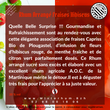 Charger l&#39;image dans la galerie, Misterhum Fillette Mojito fraises Capriss Bio 20% Vol 35 cl
